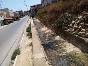 act-21-08-2023-2-3.jpg