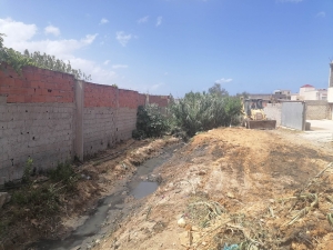act-28-08-2023-2.jpg