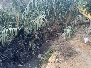 act-28-08-2023-4.jpg